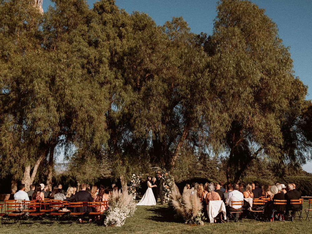 main lawn with guests