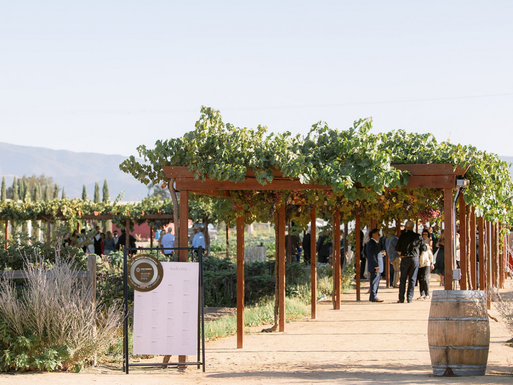 Cocktail hour under the winemakers pergola