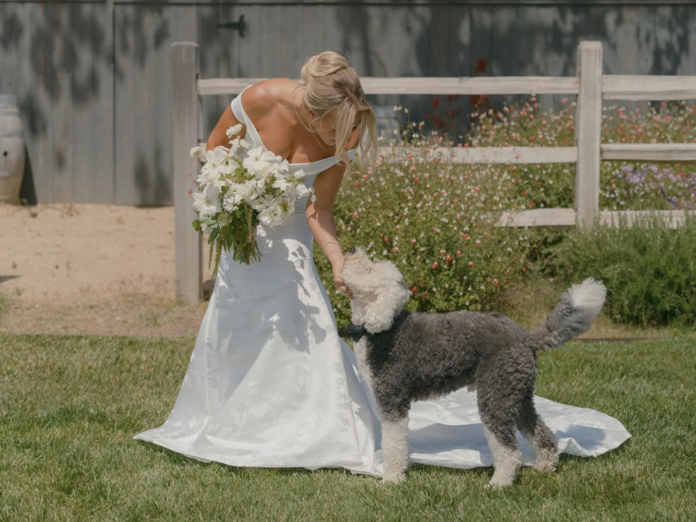 bride pup