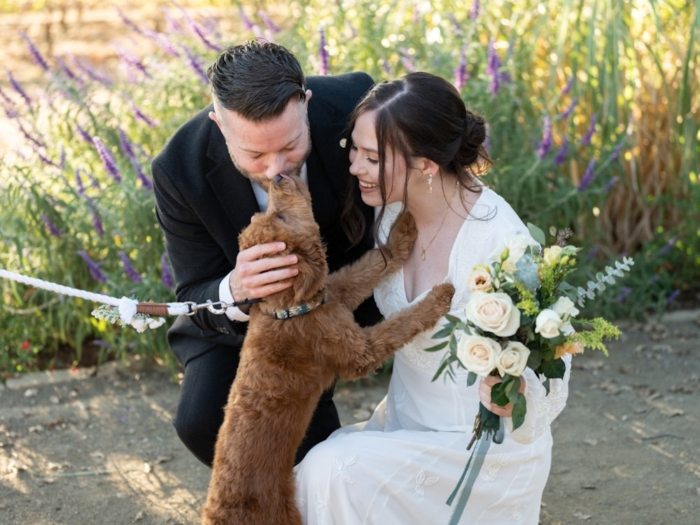 couple kissing dog