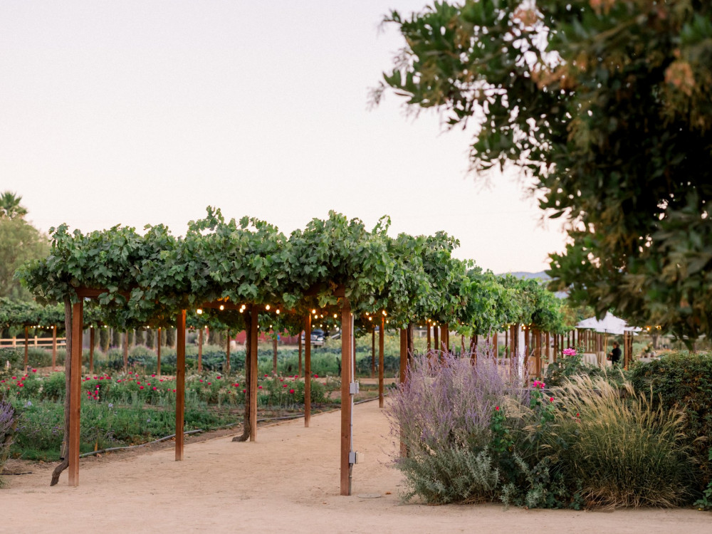 Golden Hour Pergola