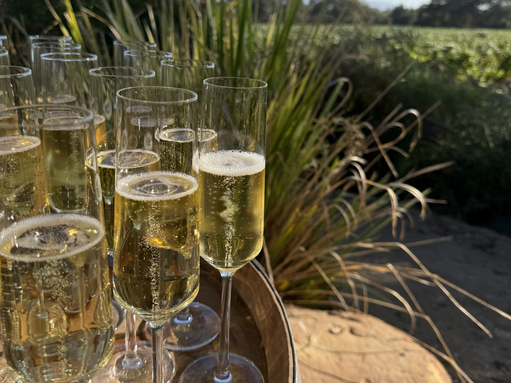 Tray of sparkling wine by the vineyard