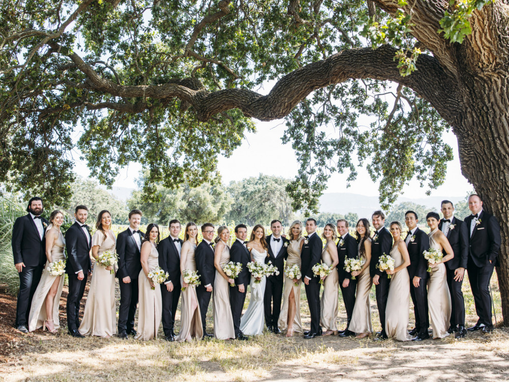 bridal party under tree