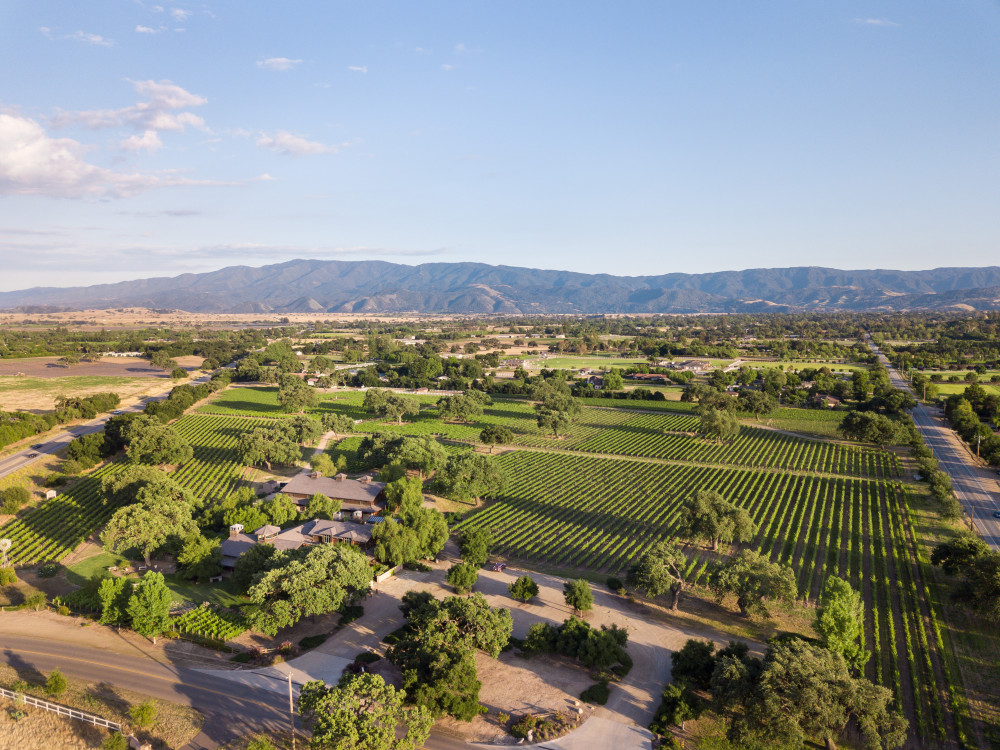 Roblar vineyard drone shot