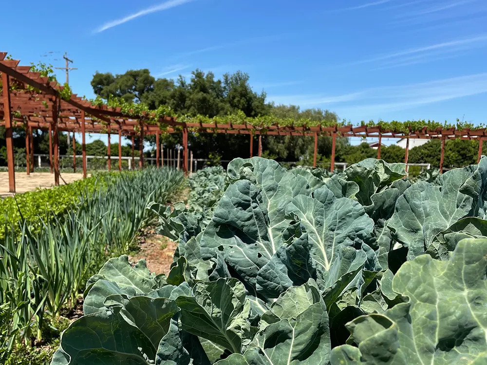 Santa Ynez Farmhouse Farm