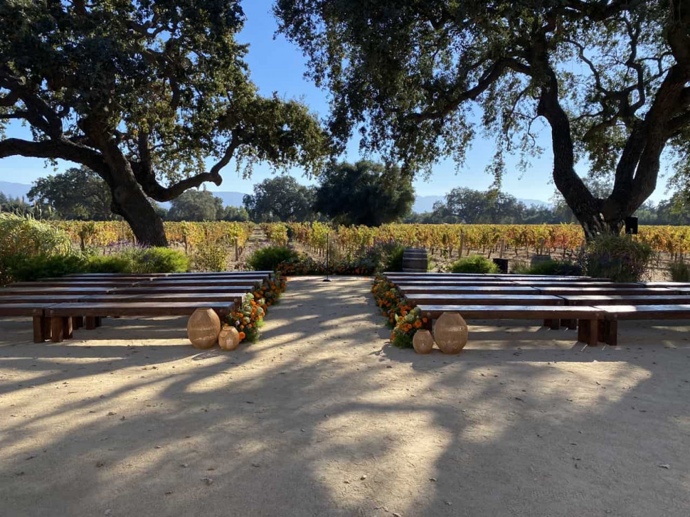 benches and vineyard