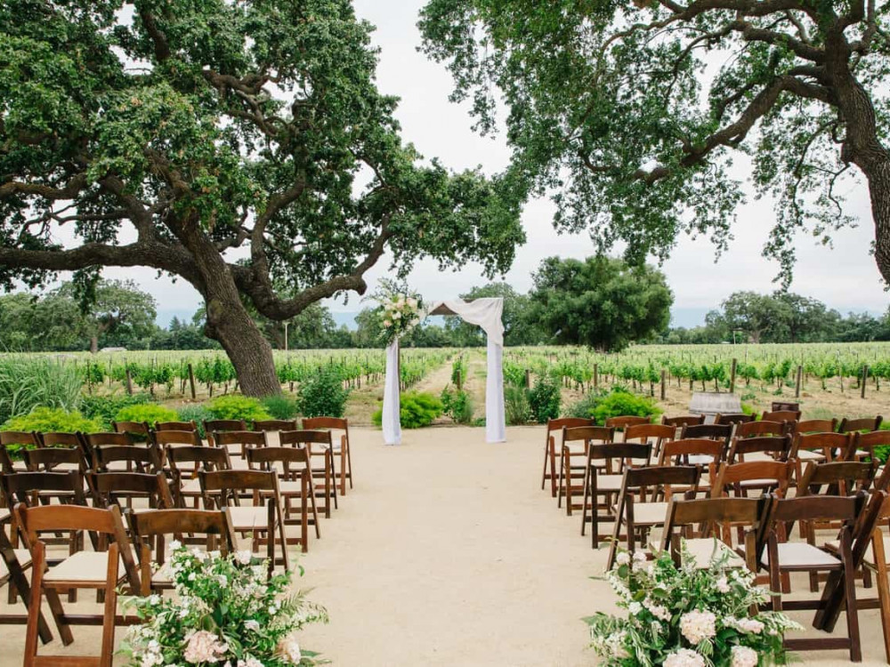 fruitwood chairs