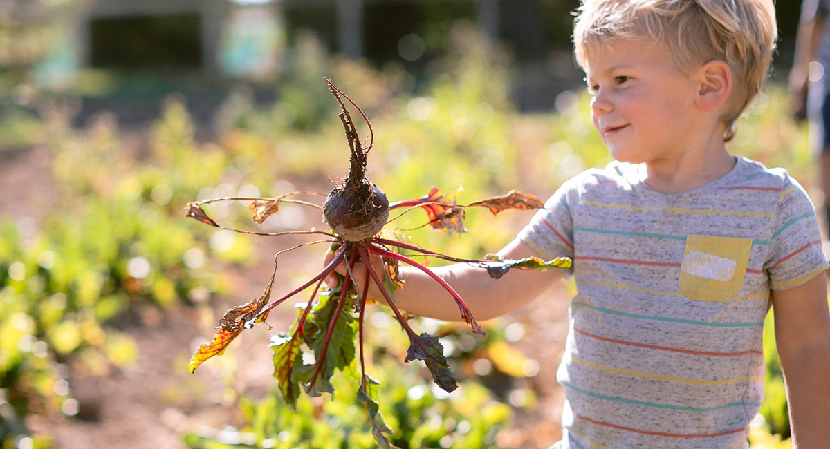 Santa Ynez Winery Produce Farm