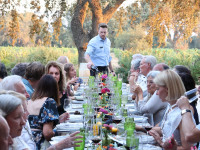 Long banquet table with food and wine served Thumbnail
