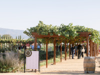 Cocktail hour under the winemakers pergola Thumbnail