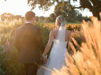 Golden Hour Thumbnail