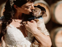 bride with dog Thumbnail