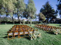 Fruitwood Chairs Thumbnail