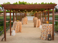 pergola Thumbnail