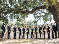 bridal party under tree Thumbnail