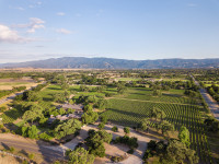 Roblar vineyard drone shot Thumbnail