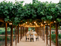 Night Pergola Thumbnail