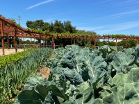 Santa Ynez Farmhouse Farm Thumbnail