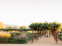 Pergola Thumbnail