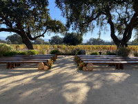 benches and vineyard Thumbnail