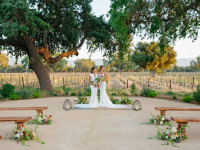 bride bride vineyard Thumbnail