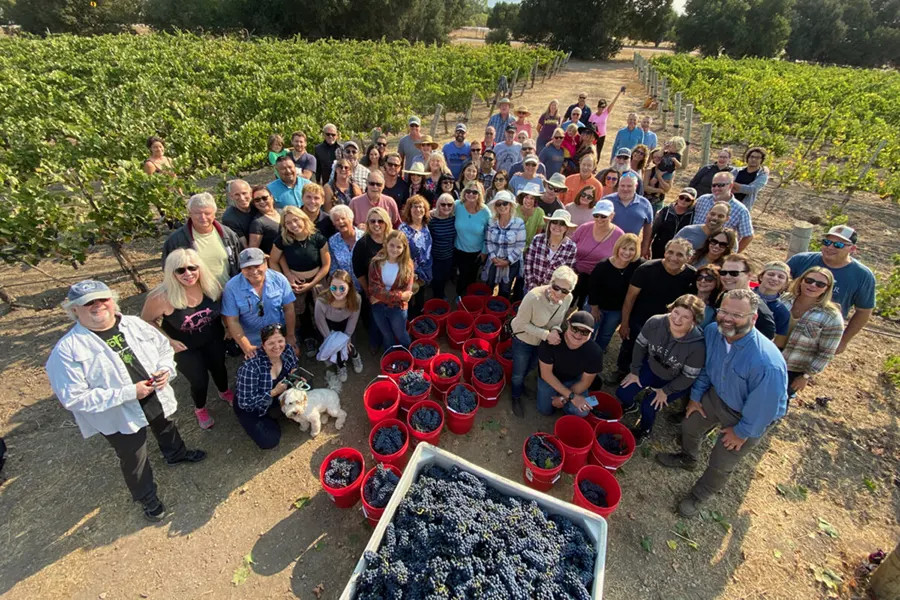 Annual Vineyard U-Pick